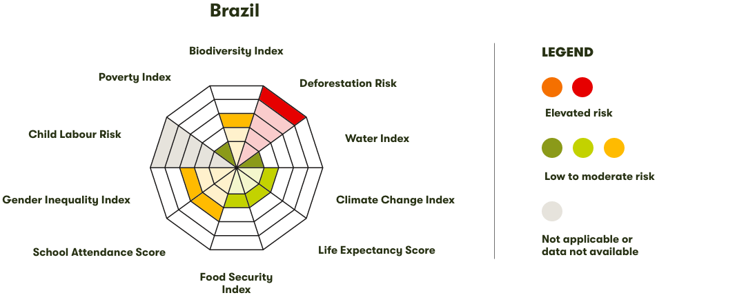 Spider Diagram