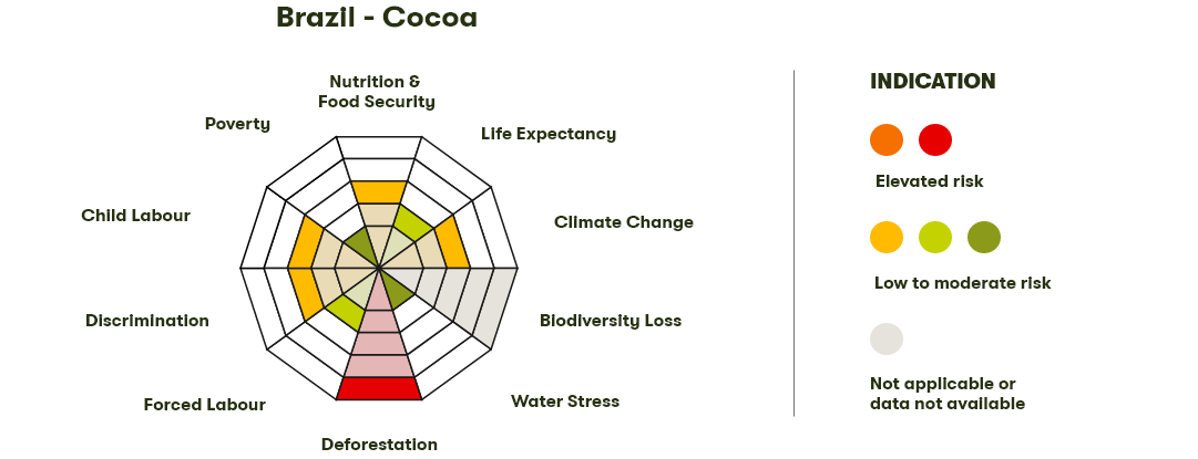 Spider Diagram