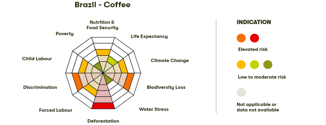 Spider Diagram
