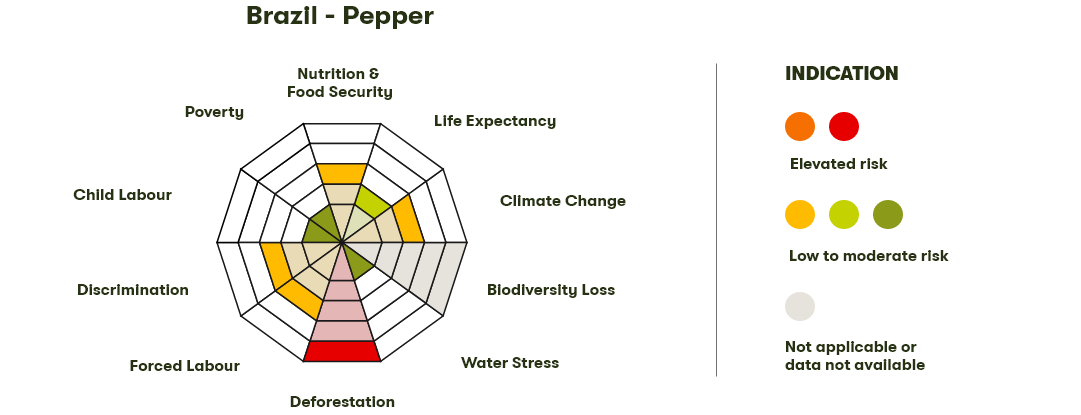 Spider Diagram