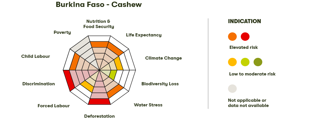 Spider Diagram