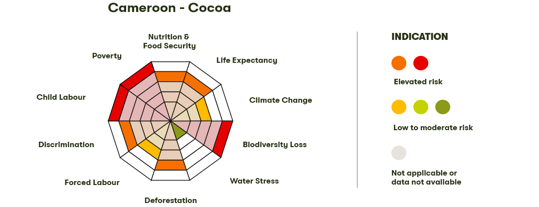 Spider Diagram