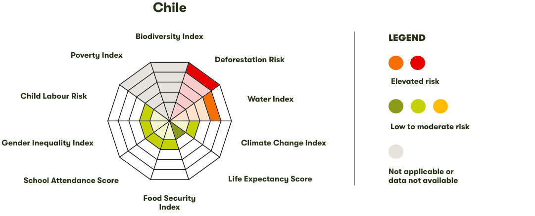 Spider Diagram