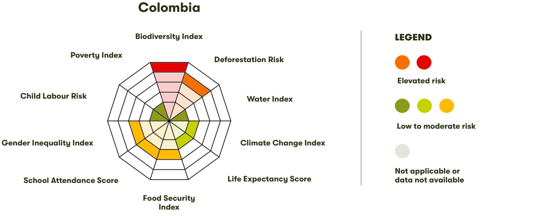Spider Diagram