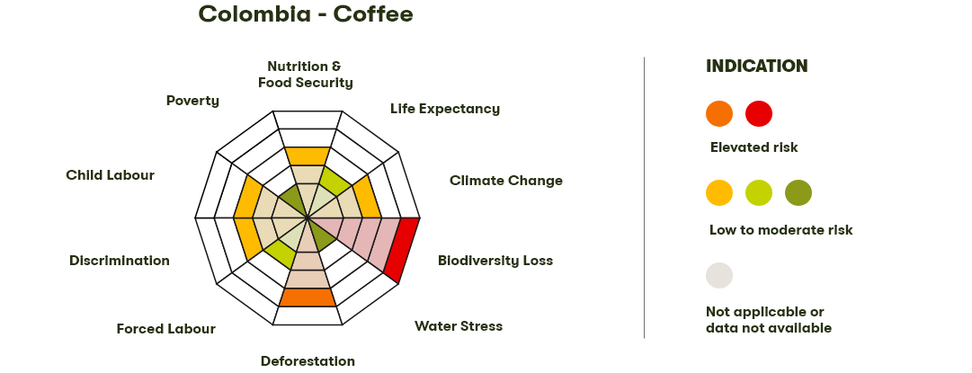 Spider Diagram