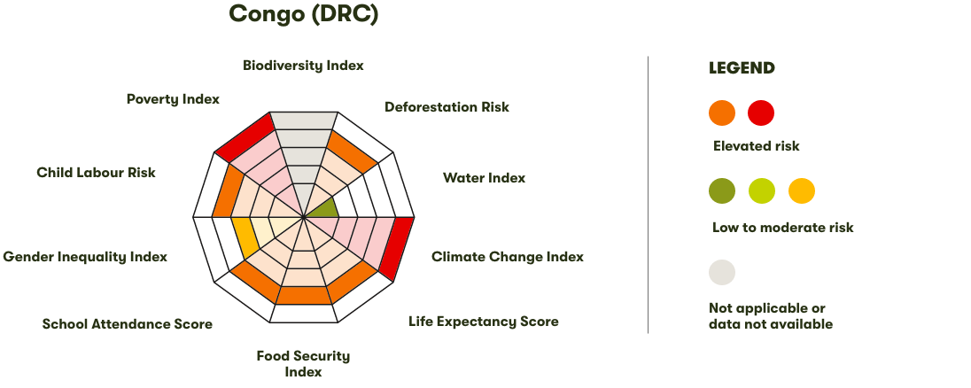 Spider Diagram