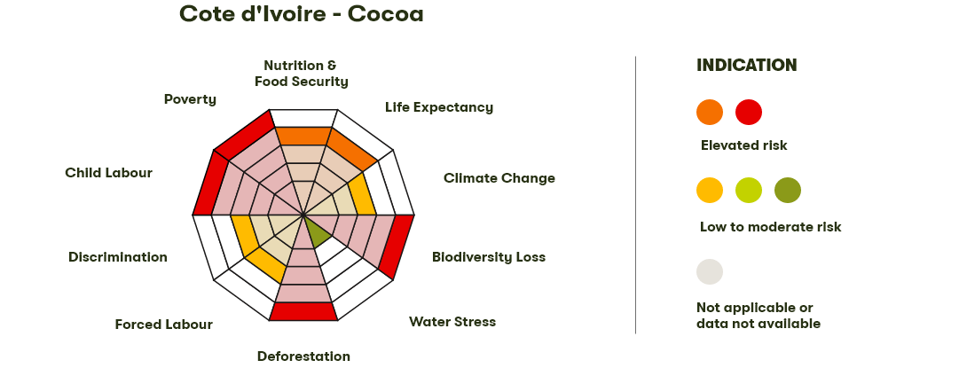 Spider Diagram