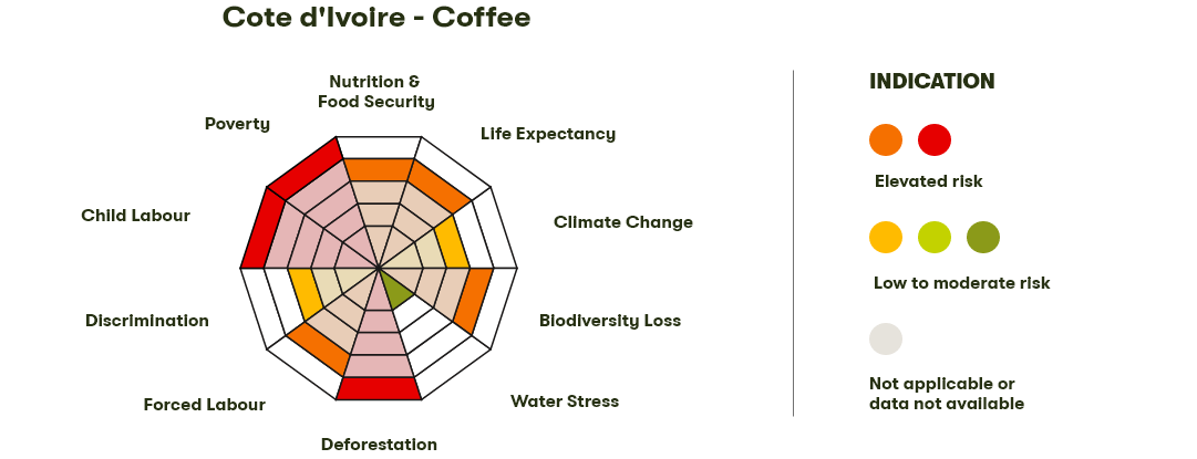 Spider Diagram
