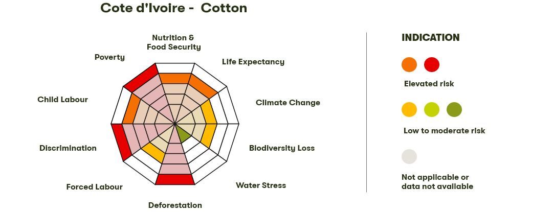 Spider Diagram