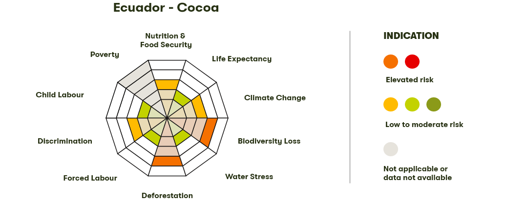 Spider Diagram