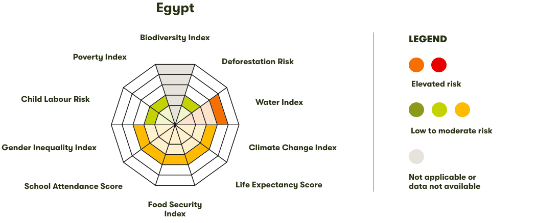 Spider Diagram