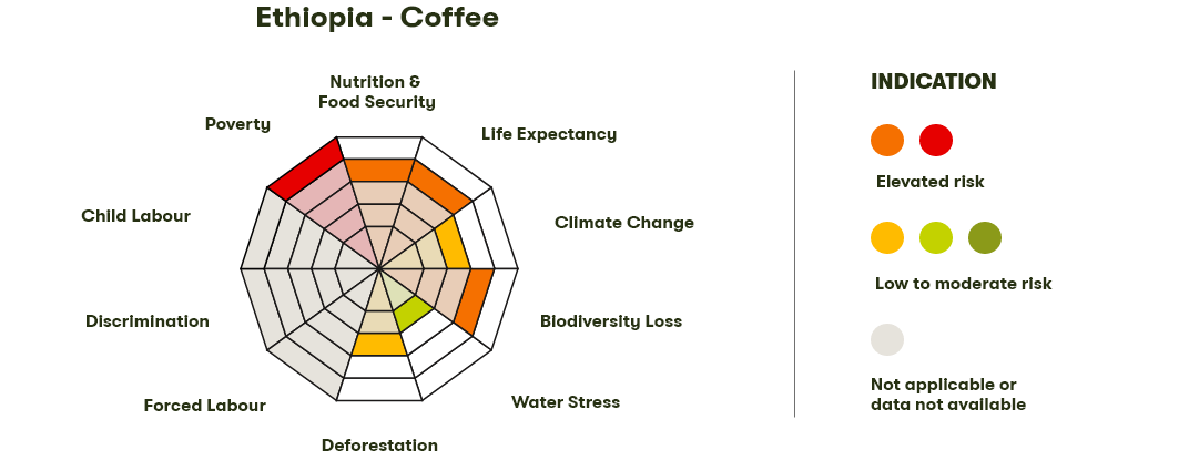 Spider Diagram