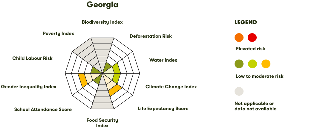 Spider Diagram