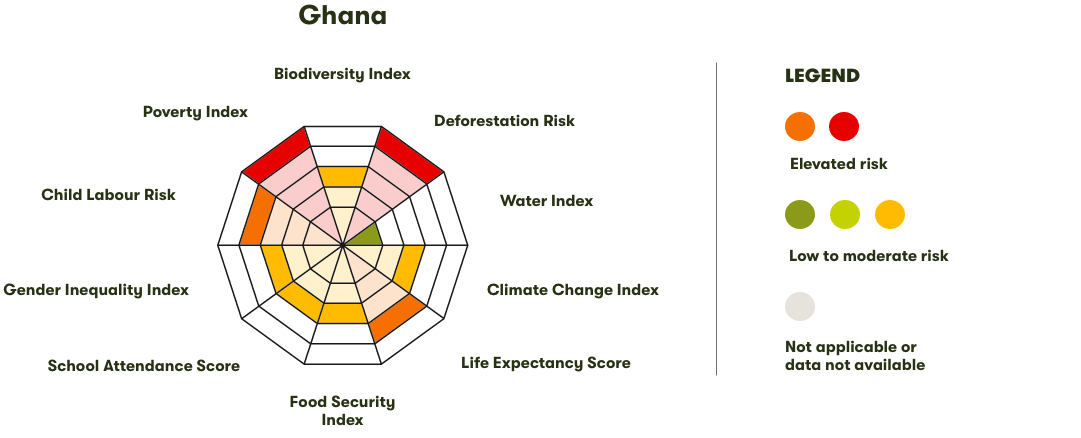 Spider Diagram
