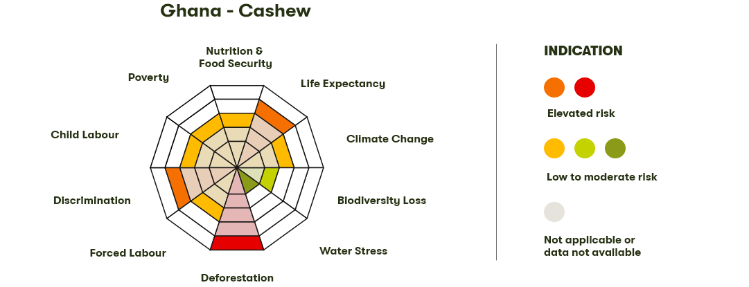 Spider Diagram