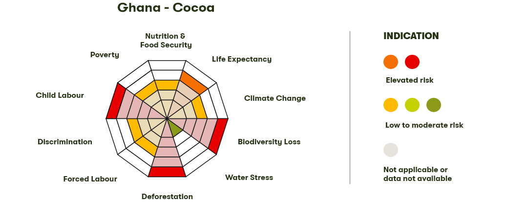 Spider Diagram
