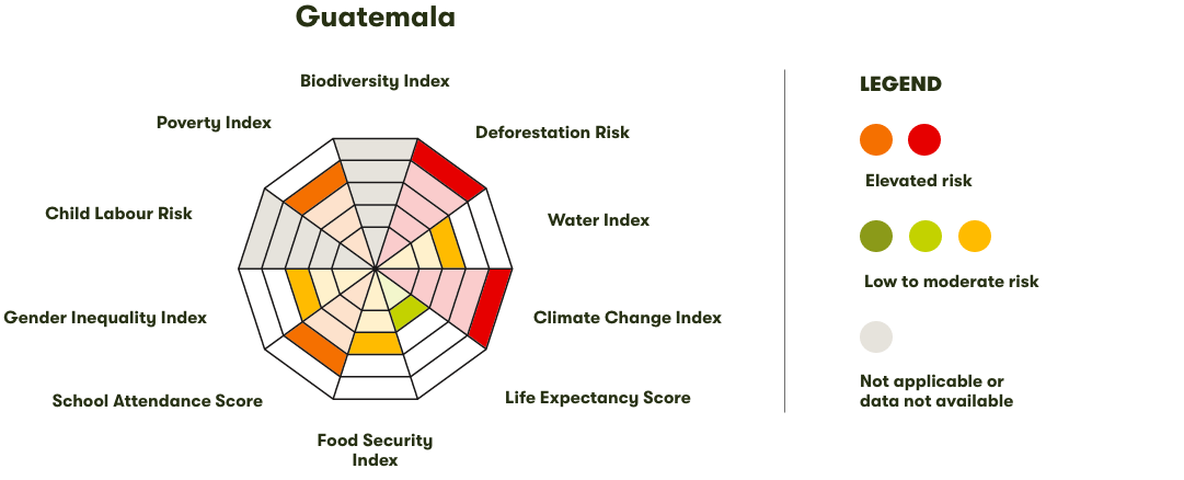 Spider Diagram