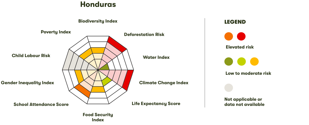 Spider Diagram