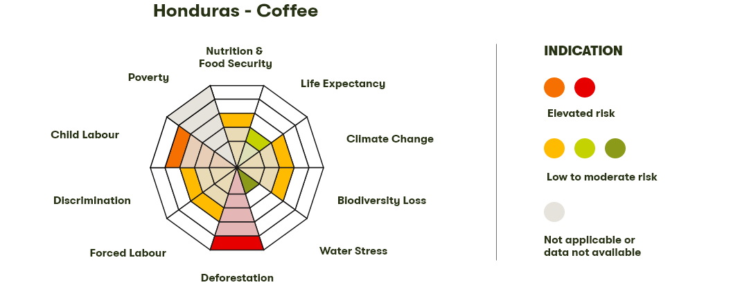 Spider Diagram
