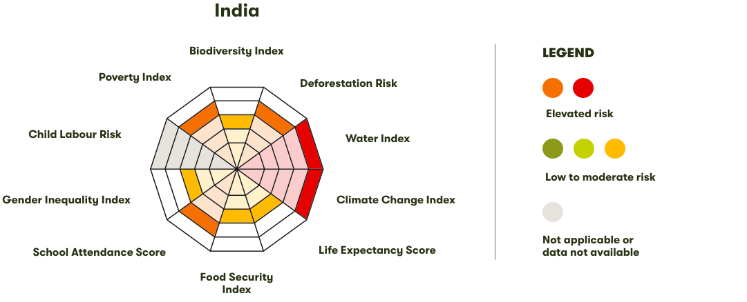 Spider Diagram