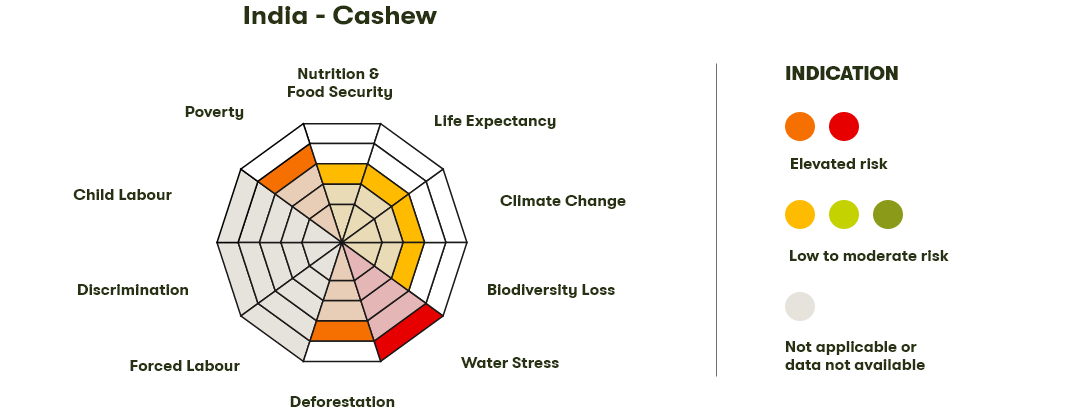 Spider Diagram