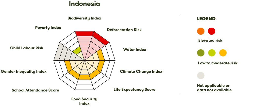 Spider Diagram