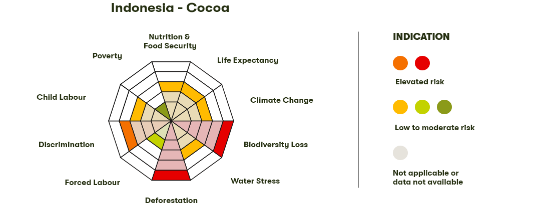 Spider Diagram