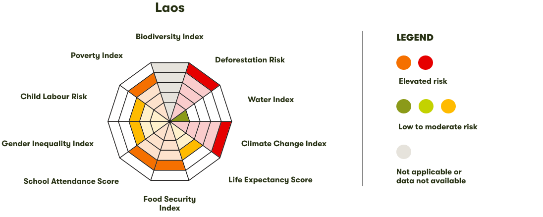 Spider Diagram