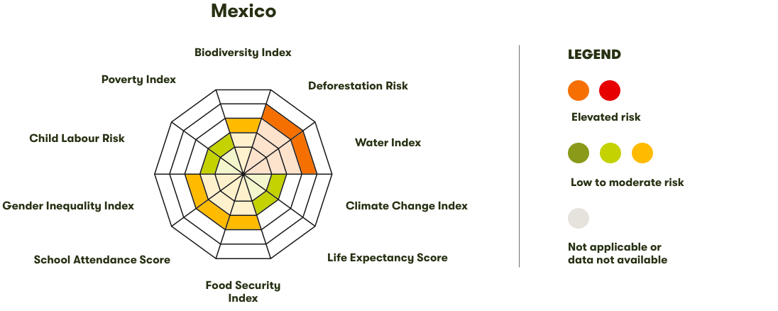 Spider Diagram