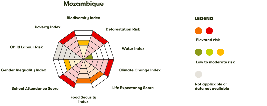Spider Diagram