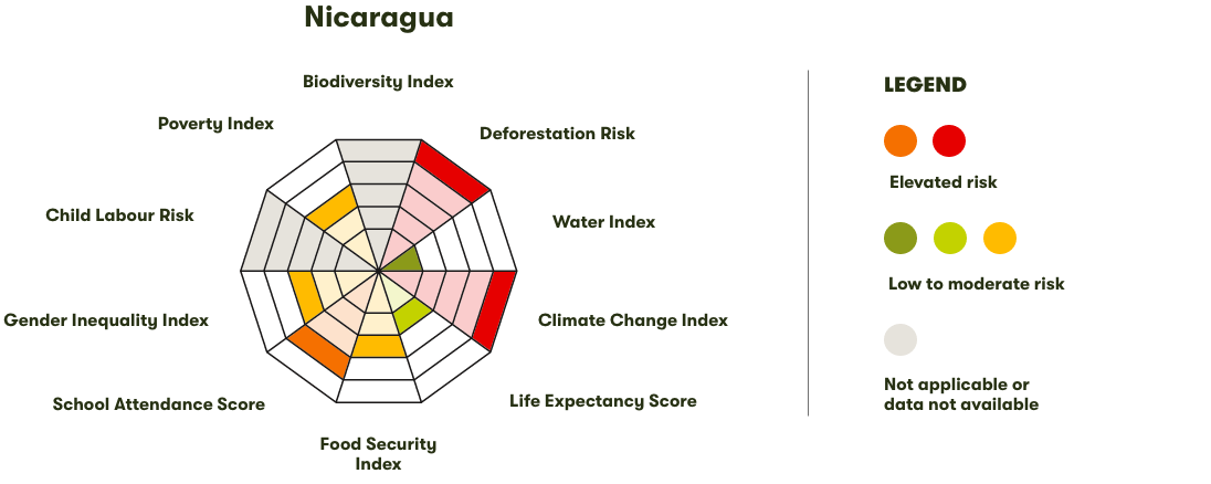 Spider Diagram