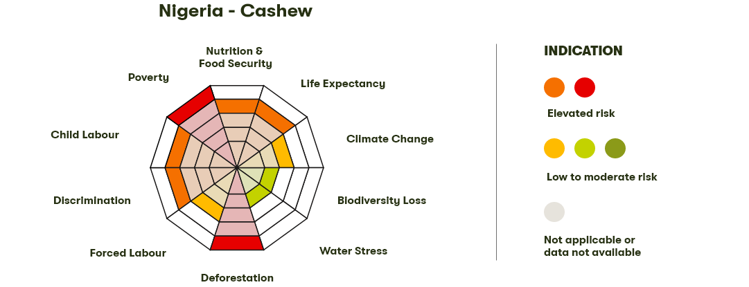 Spider Diagram