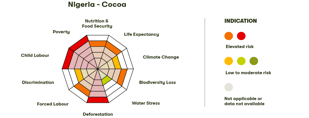 Spider Diagram