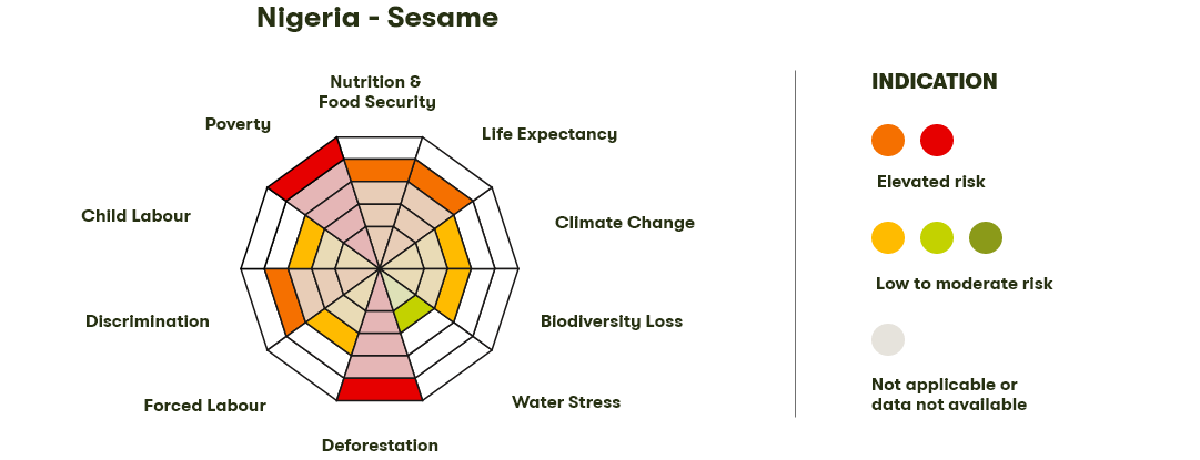 Spider Diagram