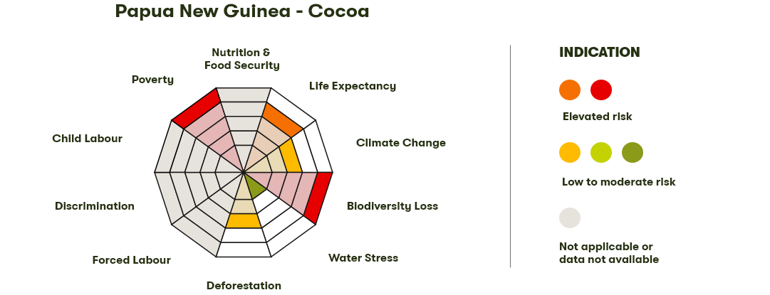 Spider Diagram