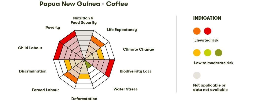 Spider Diagram