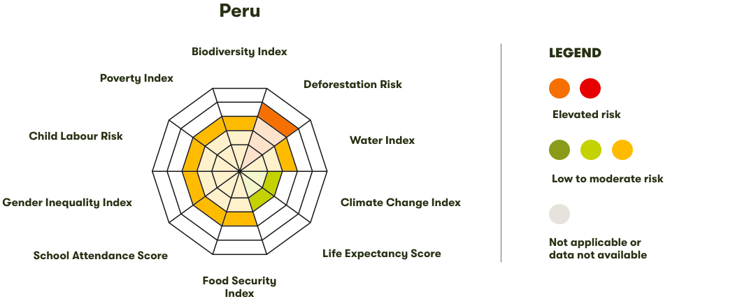 Spider Diagram