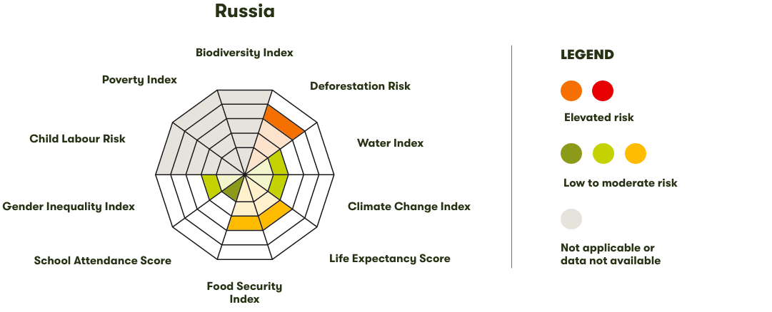 Spider Diagram
