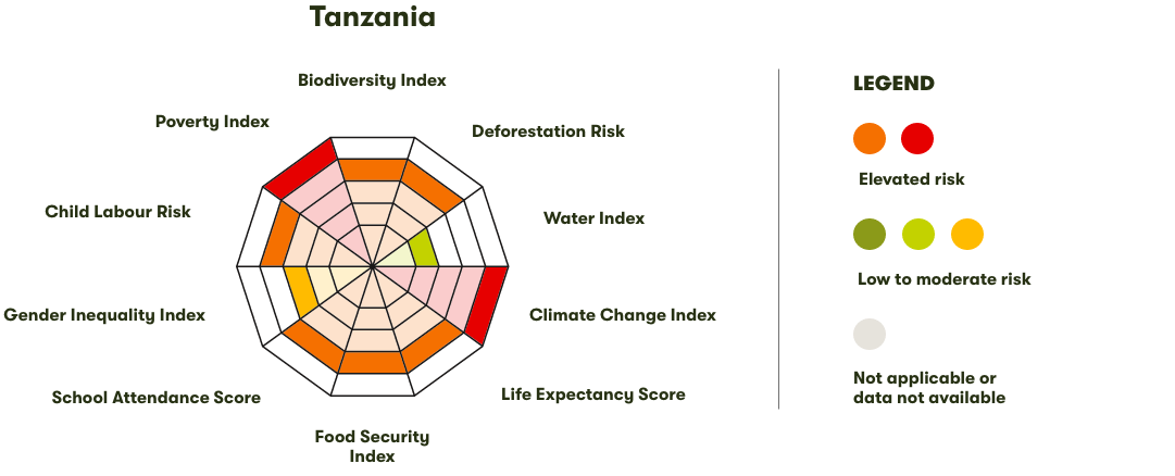 Spider Diagram