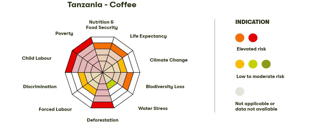 Spider Diagram