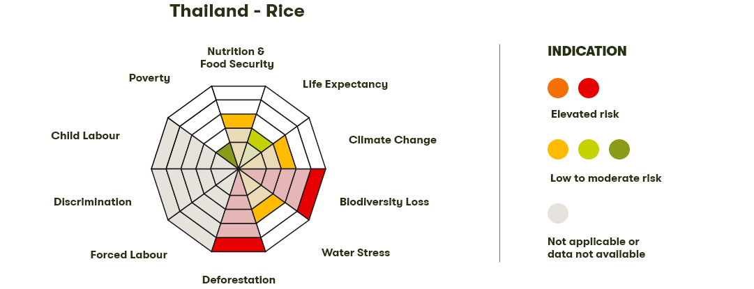 Spider Diagram