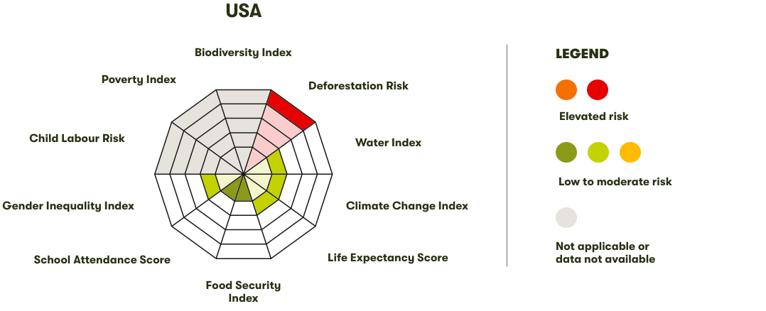 Spider Diagram
