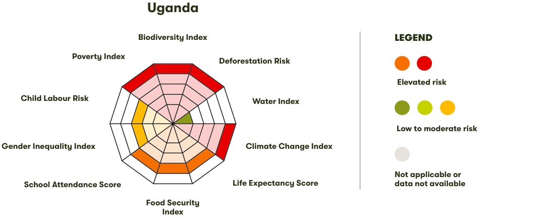 Spider Diagram