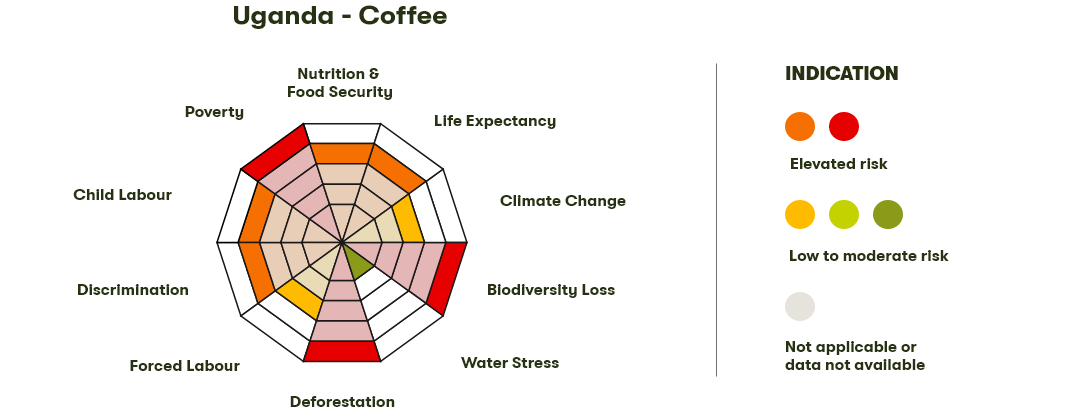 Spider Diagram