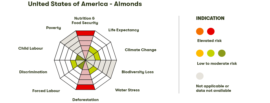 Spider Diagram