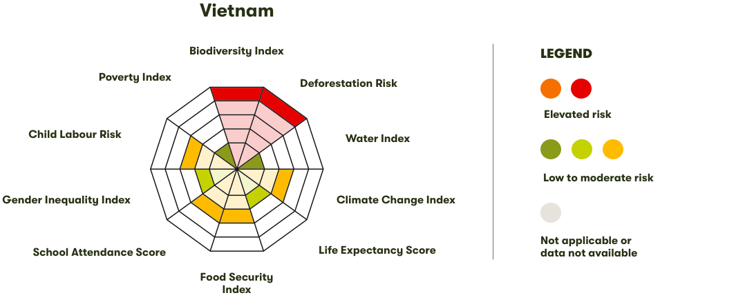 Spider Diagram