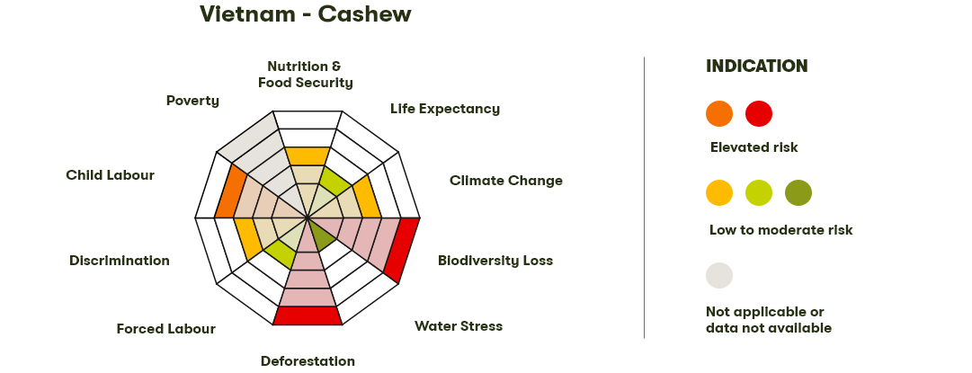 Spider Diagram