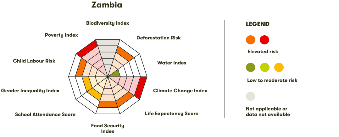 Spider Diagram