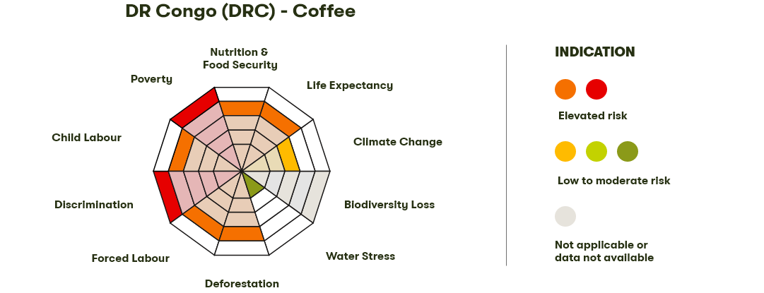 Spider Diagram
